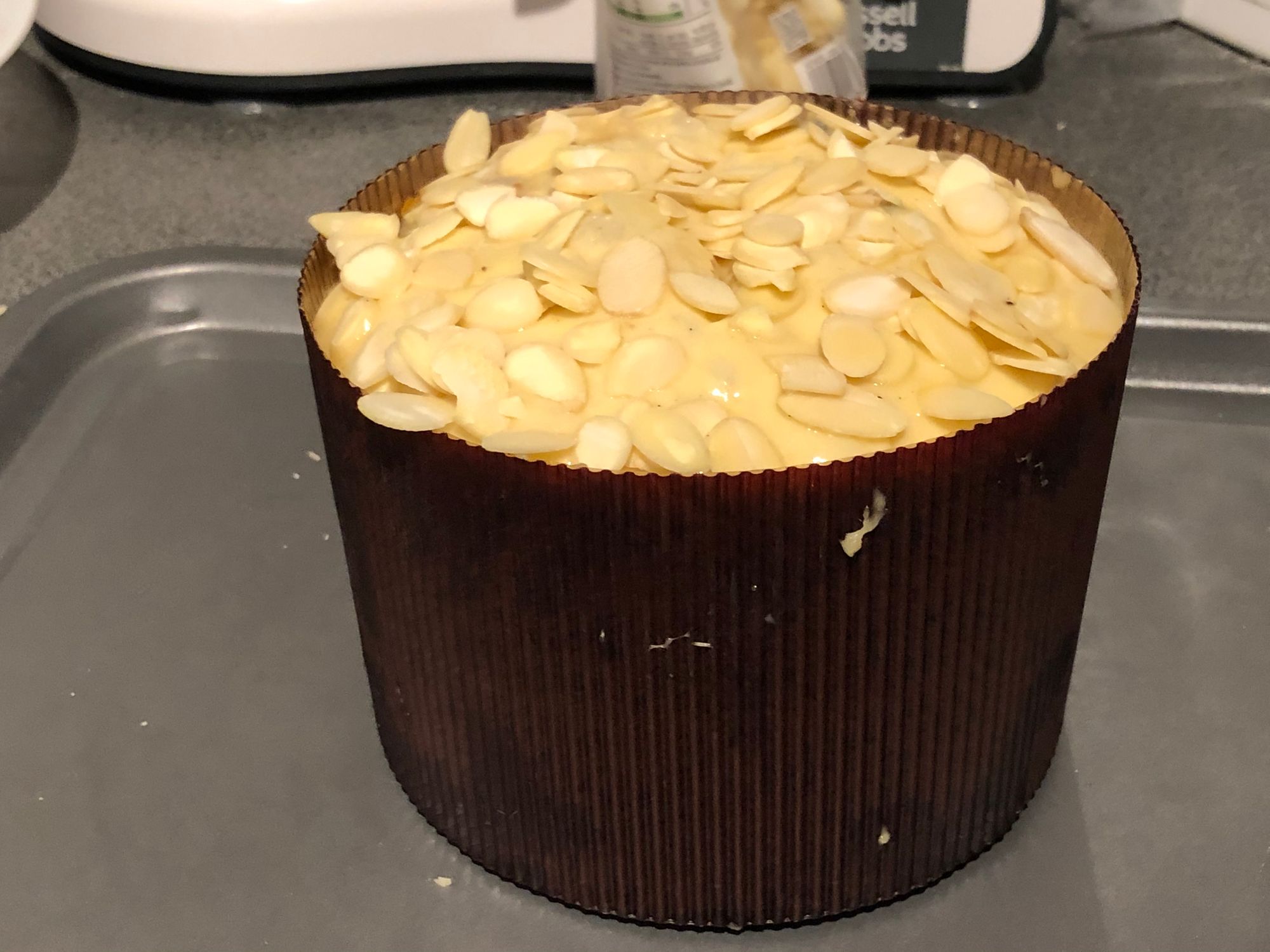 One-Day Panettone Recipe